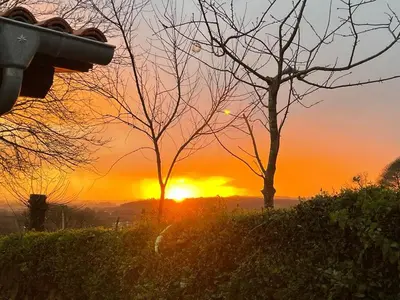 a sunset behind two trees in a field at Casa do Crego in Brañas