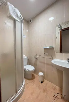 a bathroom with a toilet and a sink and a shower at ACUBILLO in Palas de Rei