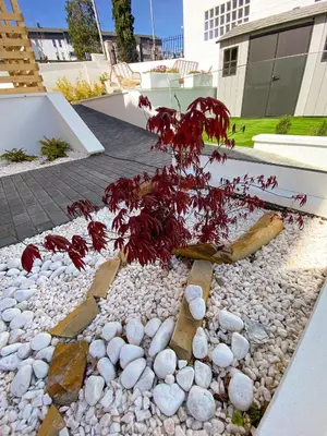 a plant in the middle of a pile of rocks at PortoSantiago Boutique & Rooms in Portomarin
