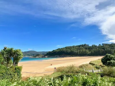 a beach with a palm tree and the ocean at The Cliffs - Montmar in Viveiro