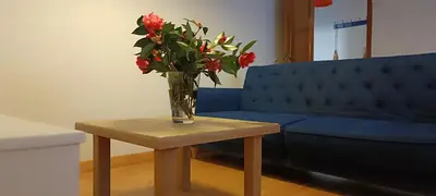 a vase of flowers on a table next to a couch at Casa Vilas, Santiago de Compostela in Santiago de Compostela