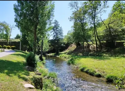 a river in a park with grass and trees at Piso turístico Baralla in Baralla