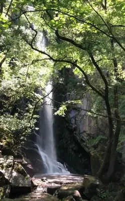 a waterfall in the middle of a forest at Apedeceo Belesar Villa, Ribeira Sacra, Galicia in Chantada
