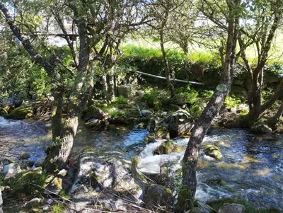 a stream of water with trees and rocks at A Beira da Cortella in Melón