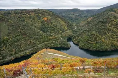 an aerial view of a river in a valley at Casita de Florita in Doade