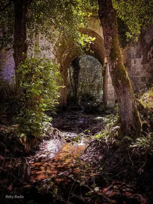 an old bridge over a stream in a forest at EL VIEJO MOLINO in Lugo