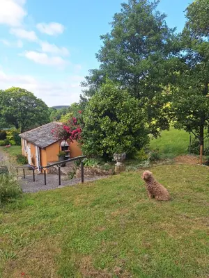 a dog sitting in the grass in front of a house at EL VIEJO MOLINO in Lugo