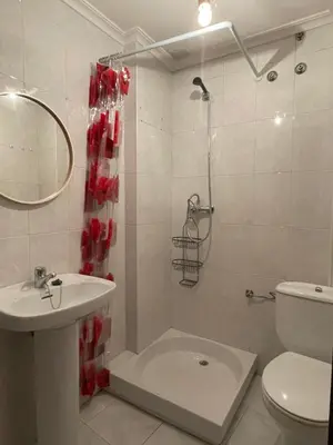 a bathroom with a shower and a sink and a toilet at Piso BOLBORETEIRO in Allariz