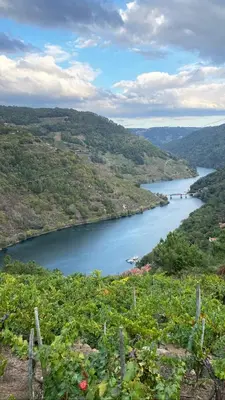 a view of a river from a hill at Bodega Sibeiro in Chantada