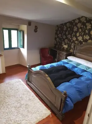 a bedroom with a blue bed and a rug at Casa CACHAMARIA próxima a la ribeira sacra in Ourense