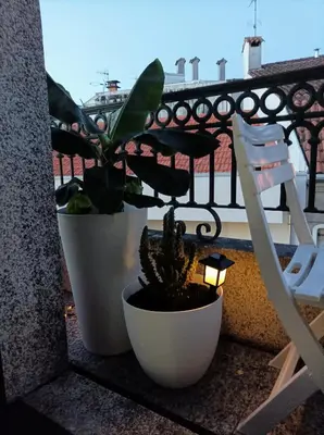 a plant in a white pot sitting on a balcony at O balcón do Río in Caldas de Reis