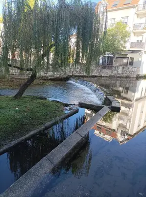 a canal with a bridge and a tree in the water at O balcón do Río in Caldas de Reis