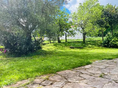 a park with trees and grass and a stone path at Villa Clásica en Santiago 